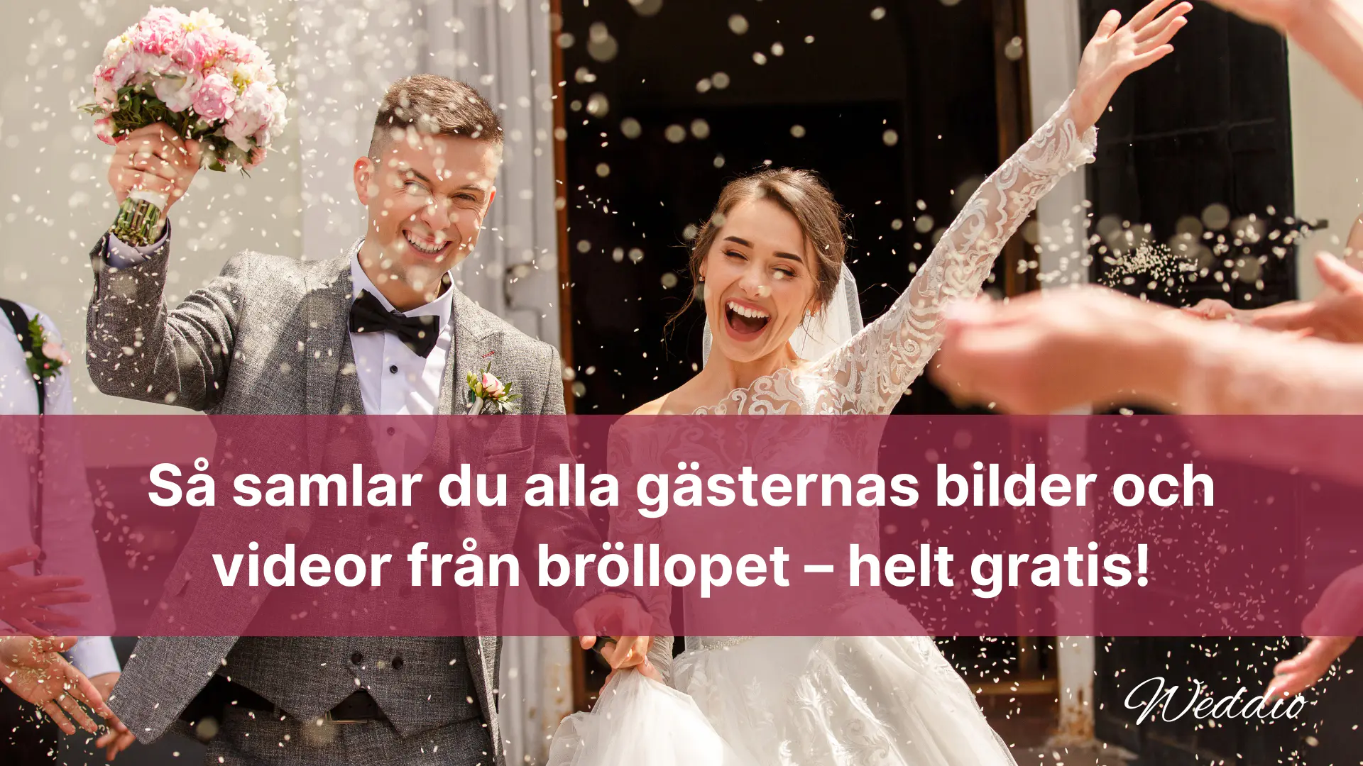 Skapa ett gratis digitalt fotoalbum för bröllopsbilder 1 Samla in bilder och videor från bröllopet gratis